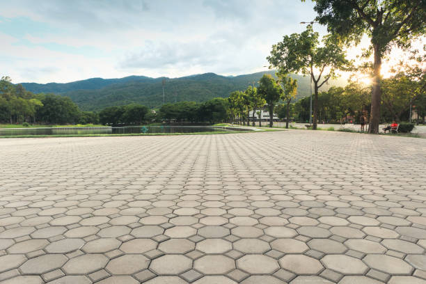 Best Driveway Pavers Contractor  in Roland, AR